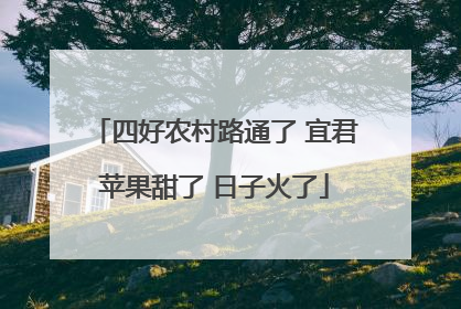 四好农村路通了 宜君苹果甜了 日子火了