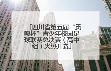 四川省第五届“贡嘎杯”青少年校园足球联赛总决赛（高中组）火热开赛
