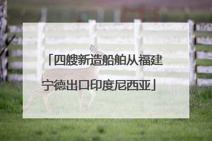 四艘新造船舶从福建宁德出口印度尼西亚