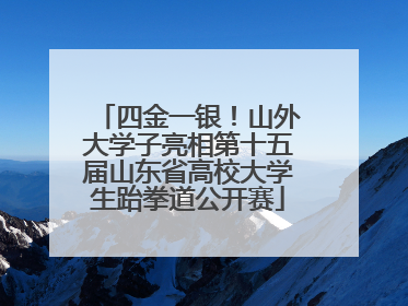 四金一银！山外大学子亮相第十五届山东省高校大学生跆拳道公开赛