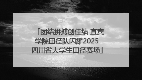 团结拼搏创佳绩 宜宾学院田径队闪耀2025四川省大学生田径赛场