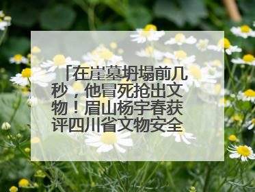 在崖墓坍塌前几秒，他冒死抢出文物！眉山杨宇春获评四川省文物安全守护者