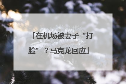 在机场被妻子“打脸”？马克龙回应