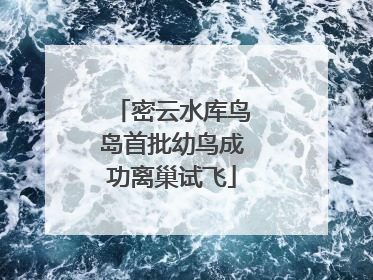 密云水库鸟岛首批幼鸟成功离巢试飞