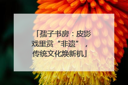 孺子书房：皮影戏里赏“非遗”，传统文化焕新机