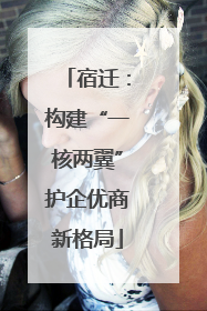 宿迁：构建“一核两翼”护企优商新格局