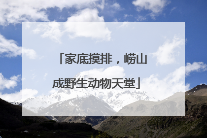 家底摸排，崂山成野生动物天堂