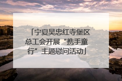 宁夏吴忠红寺堡区总工会开展“携手童行”主题慰问活动