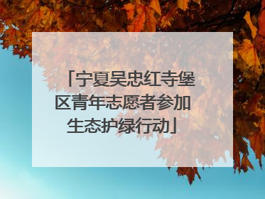宁夏吴忠红寺堡区青年志愿者参加生态护绿行动