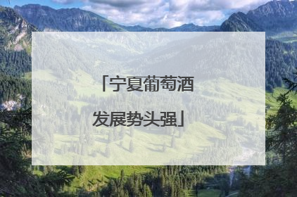 宁夏葡萄酒发展势头强