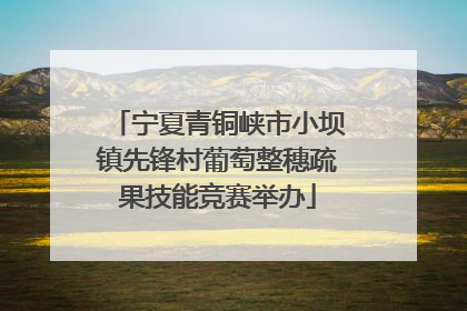 宁夏青铜峡市小坝镇先锋村葡萄整穗疏果技能竞赛举办