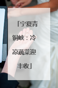 宁夏青铜峡：冷凉蔬菜迎丰收