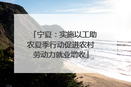 宁夏：实施以工助农夏季行动促进农村劳动力就业增收