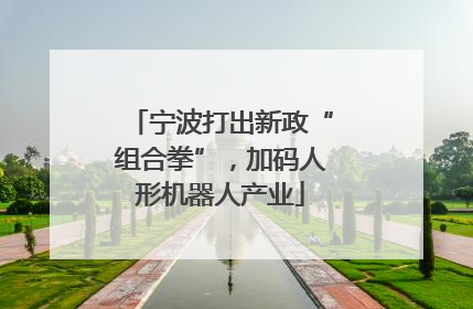 宁波打出新政“组合拳”，加码人形机器人产业