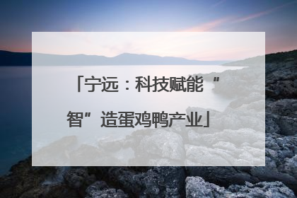 宁远：科技赋能“智”造蛋鸡鸭产业