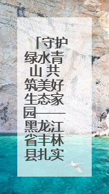 守护绿水青山 共筑美好生态家园——黑龙江省丰林县扎实推进生物多样性保护工作