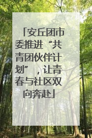 安丘团市委推进“共青团伙伴计划”，让青春与社区双向奔赴