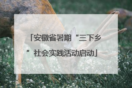 安徽省暑期“三下乡”社会实践活动启动