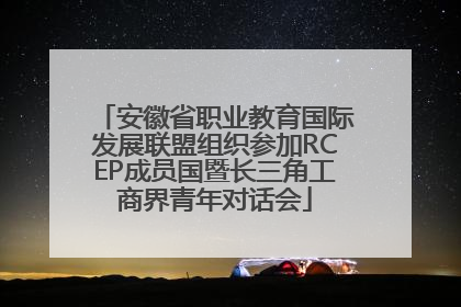 安徽省职业教育国际发展联盟组织参加RCEP成员国暨长三角工商界青年对话会