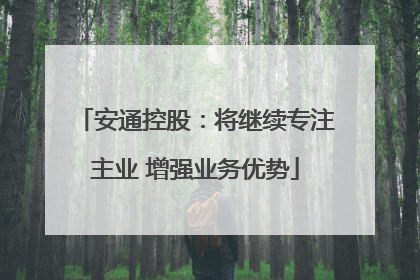 安通控股：将继续专注主业 增强业务优势