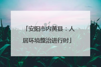 安阳市内黄县：人居环境整治进行时