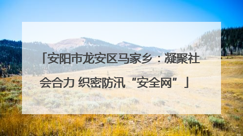 安阳市龙安区马家乡：凝聚社会合力 织密防汛“安全网”