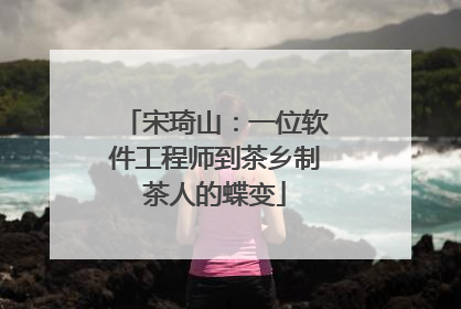 宋琦山：一位软件工程师到茶乡制茶人的蝶变