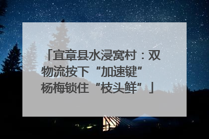 宜章县水浸窝村：双物流按下“加速键” 杨梅锁住“枝头鲜”