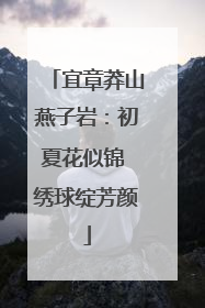 宜章莽山燕子岩：初夏花似锦 绣球绽芳颜