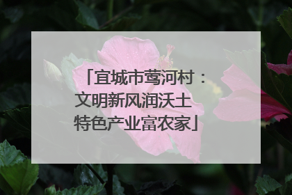 宜城市莺河村：文明新风润沃土 特色产业富农家