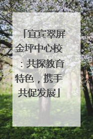宜宾翠屏金坪中心校：共探教育特色，携手共促发展