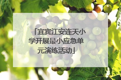 宜宾江安连天小学开展最小应急单元演练活动