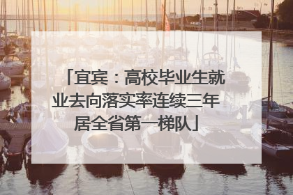 宜宾：高校毕业生就业去向落实率连续三年居全省第一梯队