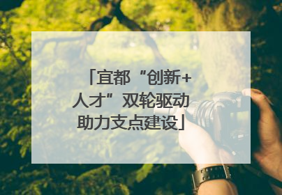 宜都“创新+人才”双轮驱动助力支点建设