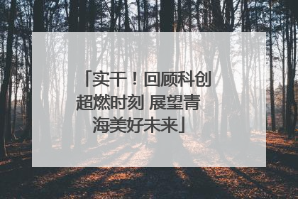 实干！回顾科创超燃时刻 展望青海美好未来