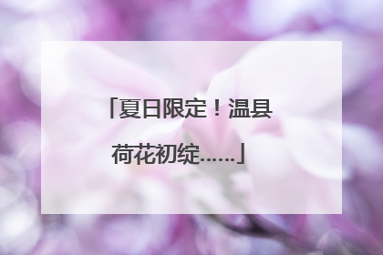 夏日限定！温县荷花初绽……