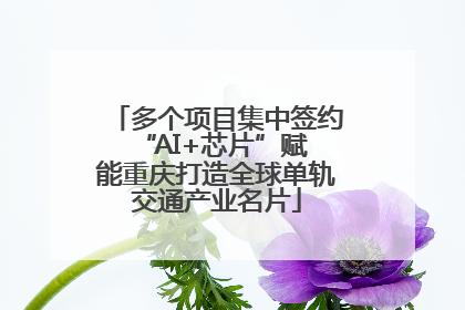 多个项目集中签约 “AI+芯片”赋能重庆打造全球单轨交通产业名片