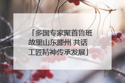 多国专家聚首鲁班故里山东滕州 共话工匠精神传承发展