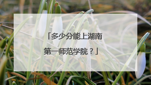 多少分能上湖南第一师范学院？