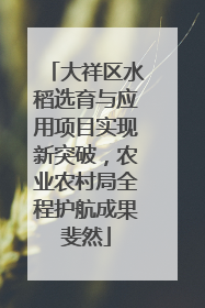 大祥区水稻选育与应用项目实现新突破，农业农村局全程护航成果斐然