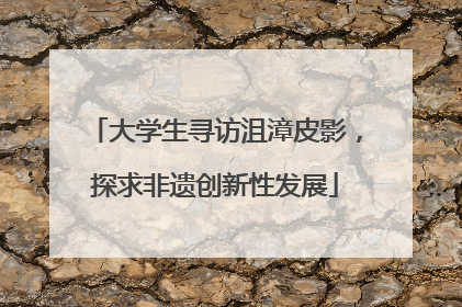 大学生寻访沮漳皮影，探求非遗创新性发展