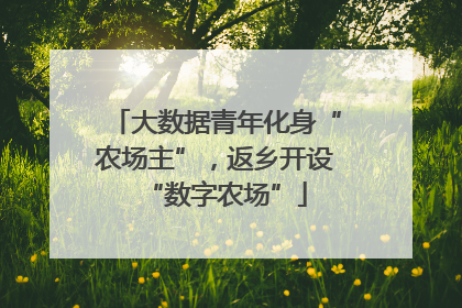 大数据青年化身“农场主”，返乡开设“数字农场”