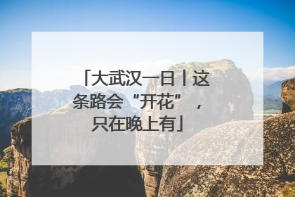 大武汉一日丨这条路会“开花”，只在晚上有