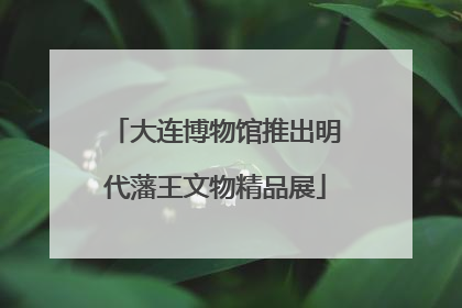 大连博物馆推出明代藩王文物精品展