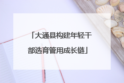 大通县构建年轻干部选育管用成长链