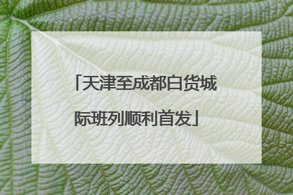 天津至成都白货城际班列顺利首发