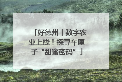 好德州丨数字农业上线！探寻车厘子“甜蜜密码”