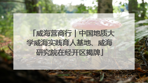 威海营商行｜中国地质大学威海实践育人基地、威海研究院在经开区揭牌