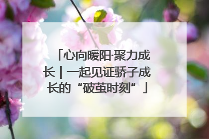 心向暖阳·聚力成长｜一起见证骄子成长的“破茧时刻”