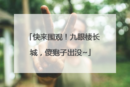 快来围观！九眼楼长城，傻狍子出没~